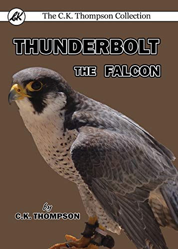 Stock image for Thunderbolt the Falcon for sale by Lucky's Textbooks