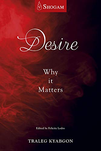 Stock image for Desire: Why It Matters for sale by ThriftBooks-Dallas