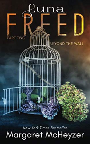 Imagen de archivo de Luna Freed: Beyond the Wall a la venta por Bookmans