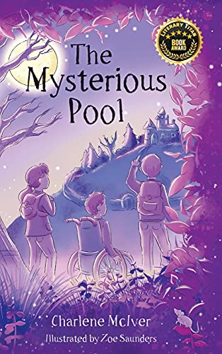 9780648417866: The Mysterious Pool