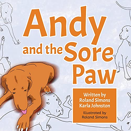 9780648582922: Andy and the Sore Paw