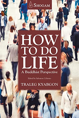 Beispielbild fr How to Do Life: A Buddhist Perspective zum Verkauf von ThriftBooks-Dallas