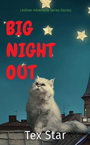 Stock image for BIG NIGHT OUT: Lesbian Adventure Series Stories (001) for sale by Revaluation Books