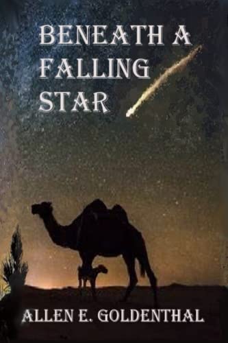 Stock image for Beneath A Falling Star for sale by THE SAINT BOOKSTORE