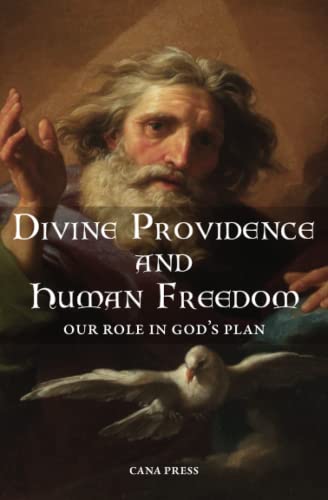 Beispielbild fr Divine Providence and Human Freedom: Our Role In Gods Plan zum Verkauf von Big River Books