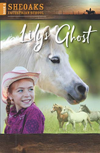 Stock image for Lily's Ghost for sale by ThriftBooks-Dallas