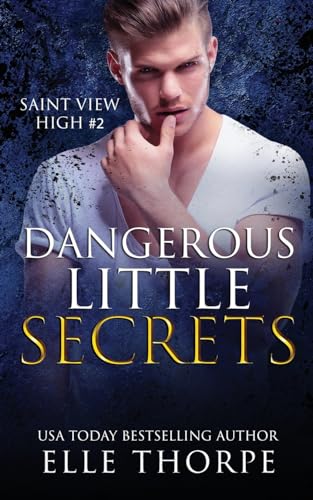 Stock image for Dangerous Little Secrets (Saint View High) for sale by PlumCircle