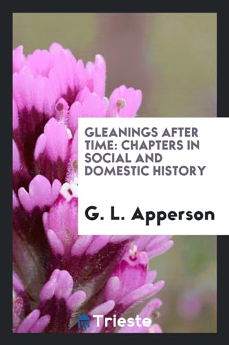 Gleanings After Time: Chapters in Social and Domestic History (Paperback) - G L Apperson
