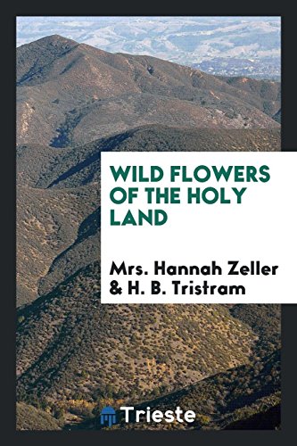 9780649733873: Wild Flowers of the Holy Land