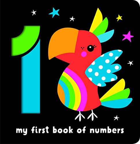 Beispielbild fr My First Book of Numbers zum Verkauf von WorldofBooks