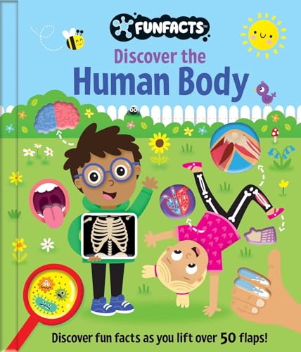 Imagen de archivo de Discover the Human Body: Lift-the-Flap Board Book (FunFacts) [Hardcover] Bradley, Jennie a la venta por Lakeside Books