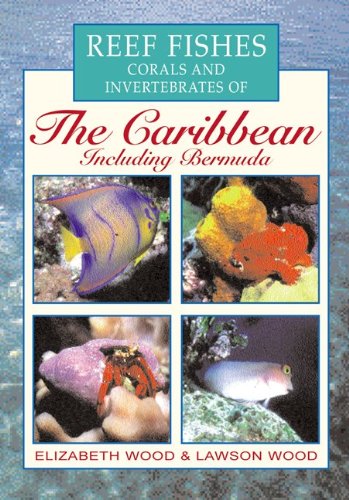 Beispielbild fr Reef Fishes, Corals and Invertebrates of the Caribbean : A Diver's Guide zum Verkauf von Better World Books