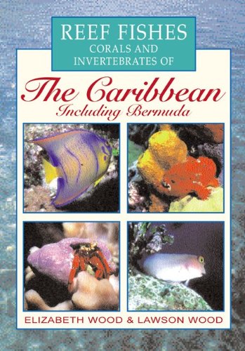 9780658013096: Reef Fishes Corals and Invertebrates of the Caribbean [Idioma Ingls]
