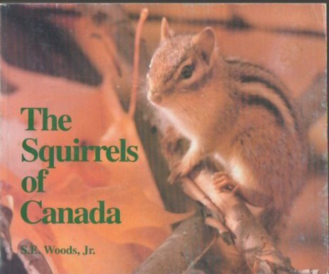 Beispielbild fr The Squirrels of Canada. zum Verkauf von N. Fagin Books