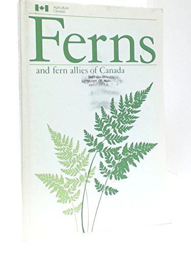 Stock image for Ferns and Fern Allies of Canada for sale by Alplaus Books