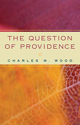 Stock image for The Question of Providence for sale by SecondSale