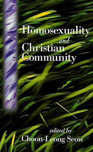 Imagen de archivo de Homosexuality and Christian Community a la venta por ThriftBooks-Atlanta