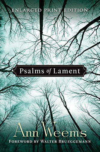 Psalms of Lament (Large Print Edition) (9780664258313) by Weems, Ann