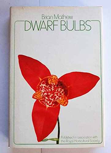 Stock image for Dwarf bulbs for sale by Wonder Book