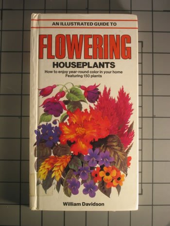 An Illustrated Guide to Flowering Houseplants