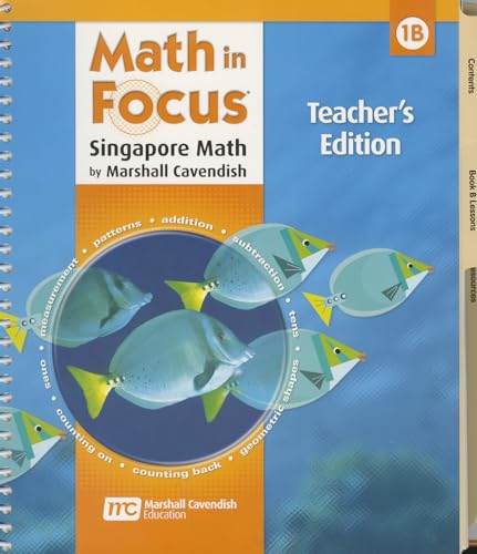 9780669013146: MATH IN FOCUS S-MATH-GRD 1B-TG: Teacher's Edition