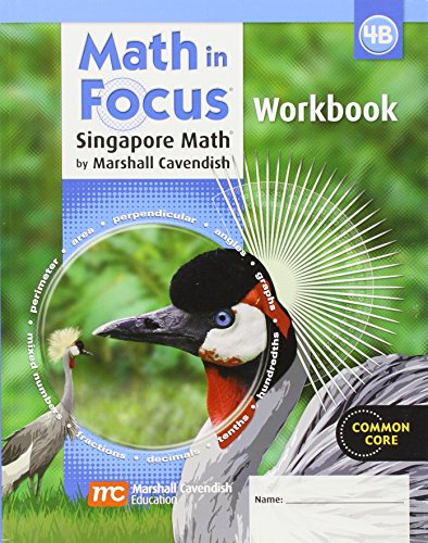 Stock image for Math in Focus: The Singapore Approach, Workbook 4B for sale by SecondSale