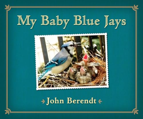 Beispielbild fr My Baby Blue Jays zum Verkauf von Half Price Books Inc.