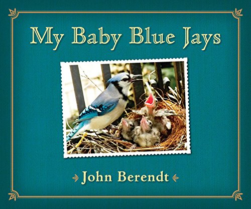 Stock image for My Baby Blue Jays for sale by Dream Books Co.