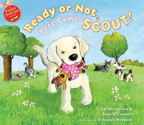 Imagen de archivo de Ready or Not, Here Comes Scout a la venta por Wonder Book