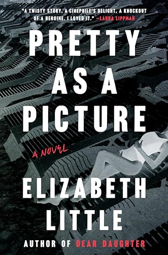 Beispielbild fr Pretty as a Picture: A Novel zum Verkauf von SecondSale