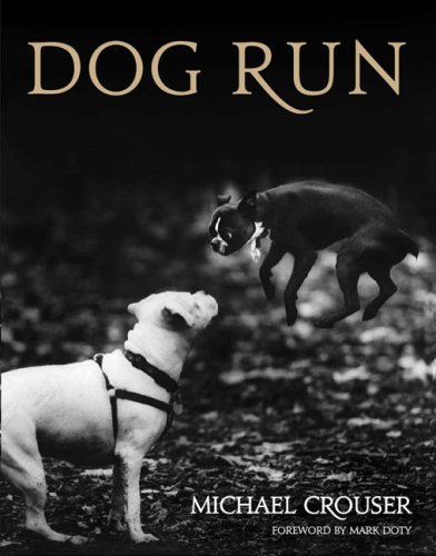 Imagen de archivo de Dog Run a la venta por ThriftBooks-Atlanta