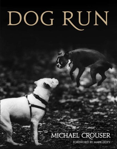 Dog Run