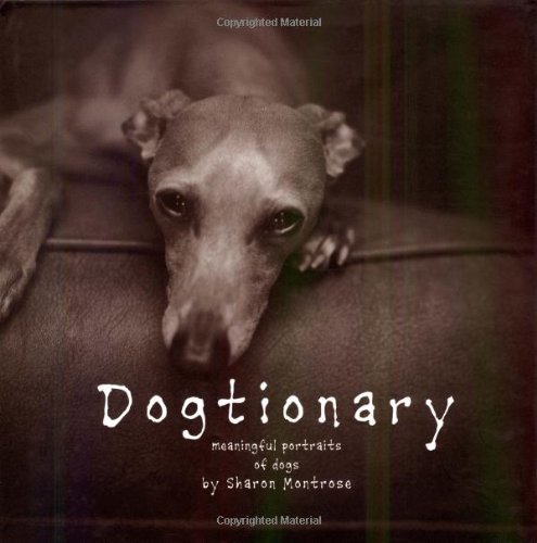 Beispielbild fr Dogtionary: Meaningful Portraits of Dogs zum Verkauf von Wonder Book