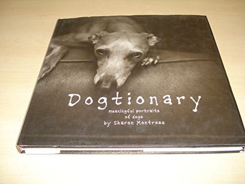 Stock image for Dogtionary: Meaningful Portraits of Dogs for sale by SecondSale