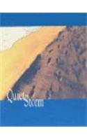 9780670058761: Quiet Storm: Celebrating the Trimph of Human Spirit Over HIV/AIDS