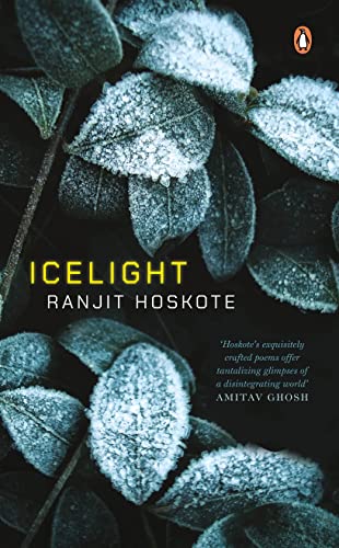 Stock image for Icelight for sale by Books Puddle