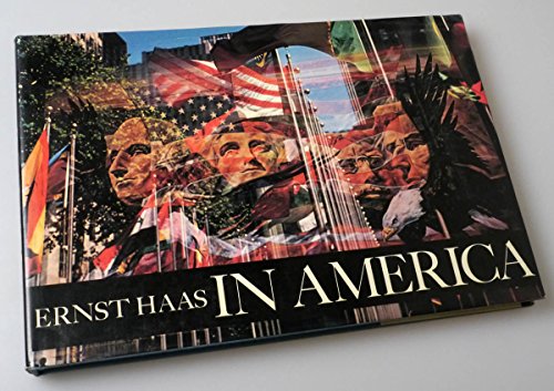Imagen de archivo de In America a la venta por ThriftBooks-Dallas