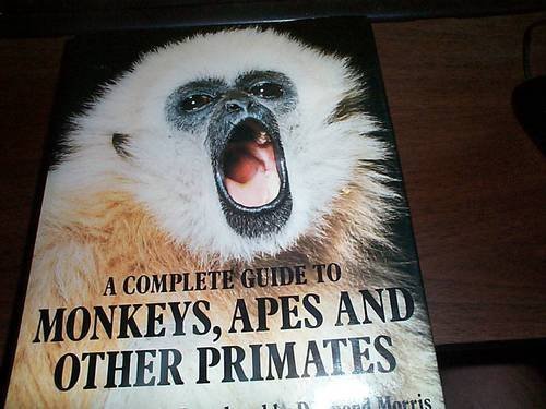 Beispielbild fr A Complete Guide to Monkeys, Apes and Other Primates zum Verkauf von Better World Books