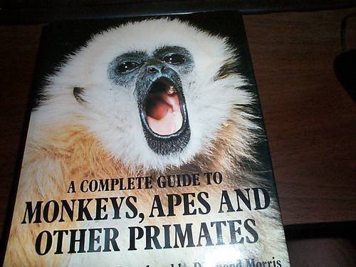 Stock image for A Complete Guide to Monkeys, Apes and Other Primates for sale by Better World Books: West