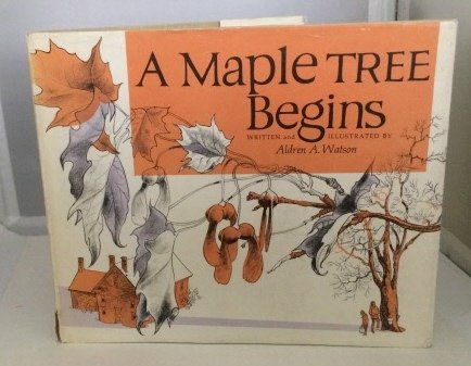 Stock image for Maple Tree Begins for sale by Small World Books