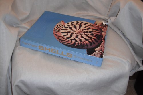 Stock image for Shells for sale by Zoom Books Company