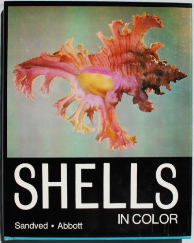 Stock image for Shells In Color for sale by Lee Madden, Book Dealer