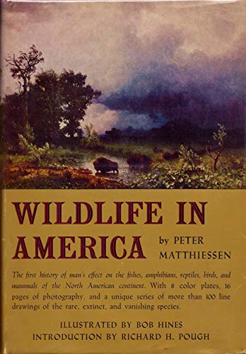 Stock image for Wildlife in America for sale by Basement Seller 101