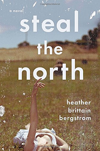Beispielbild fr Steal the North : A Novel zum Verkauf von Better World Books