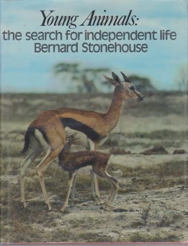 Beispielbild fr Young animals: The search for independent life zum Verkauf von Wonder Book