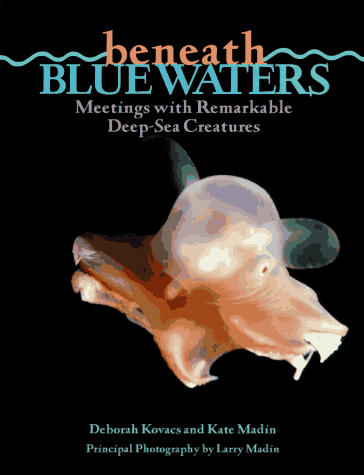 Stock image for Beneath Blue Waters: Meetings With Remarkable Deep-Sea Creatures for sale by Your Online Bookstore