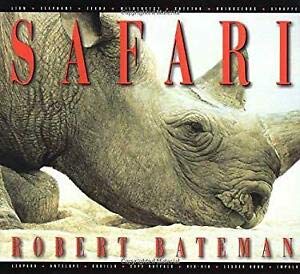 Beispielbild fr Safari zum Verkauf von Better World Books