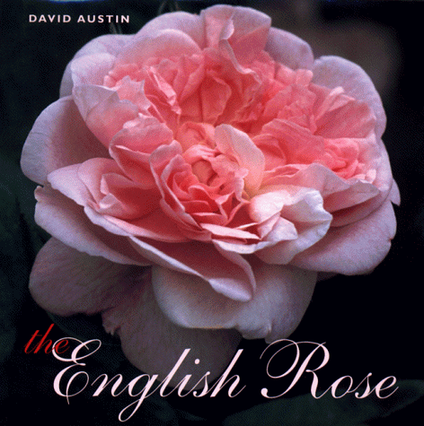 Beispielbild fr The English Rose zum Verkauf von Books of the Smoky Mountains