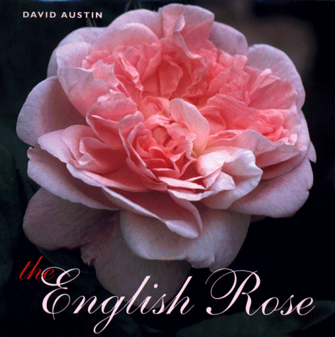 Stock image for The English Rose for sale by Books of the Smoky Mountains