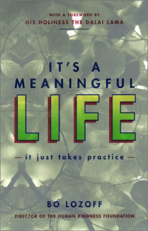 Beispielbild fr Its a Meaningful Life: It Just Takes Practice zum Verkauf von SecondSale